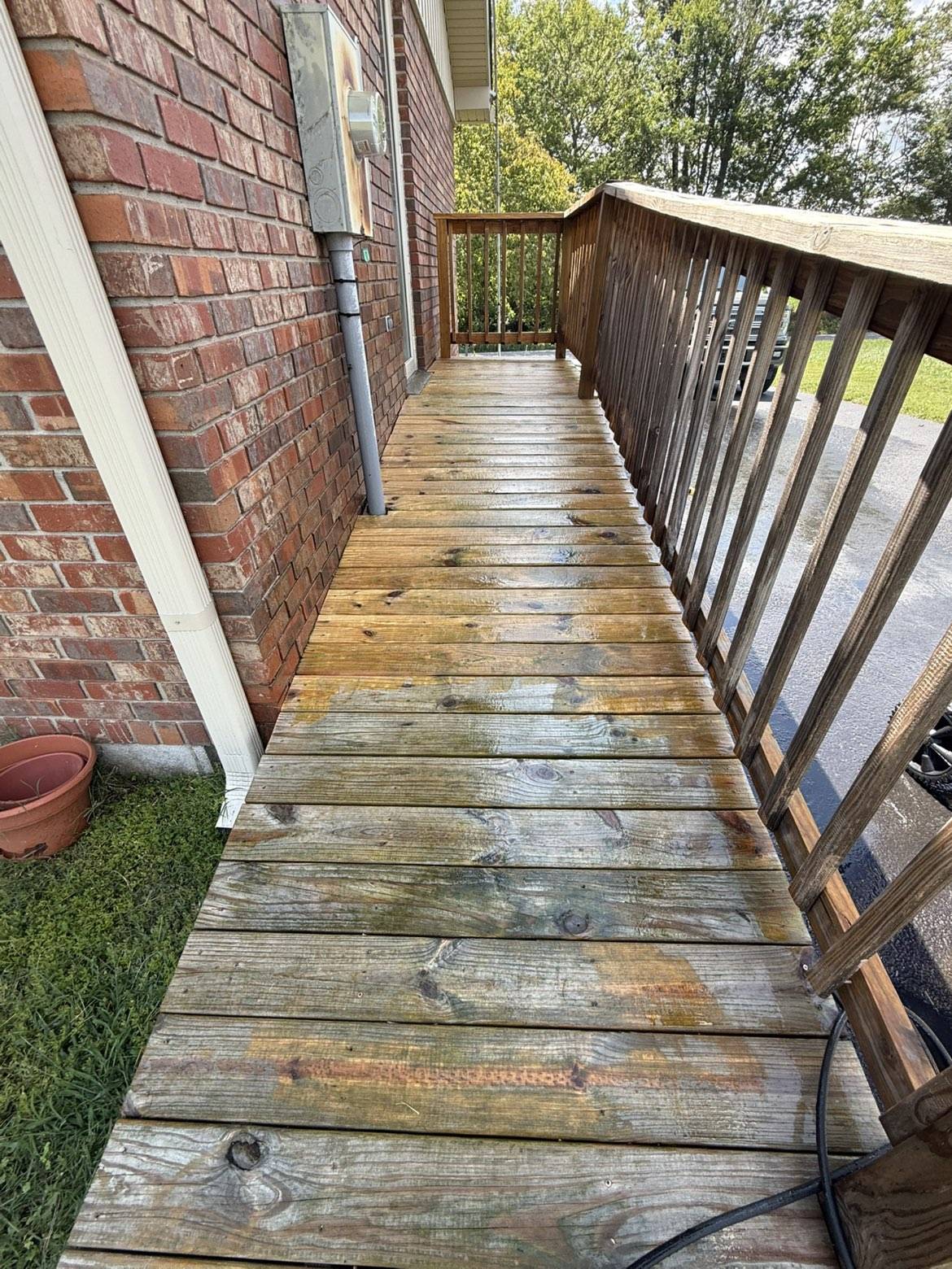 Algae removal after
